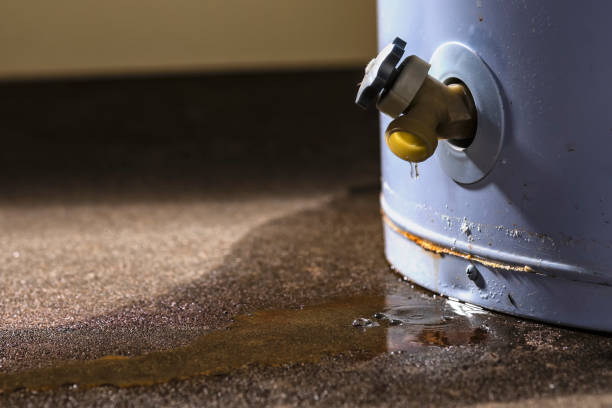 Best Residential water damage restoration  in Pelican Marsh, FL