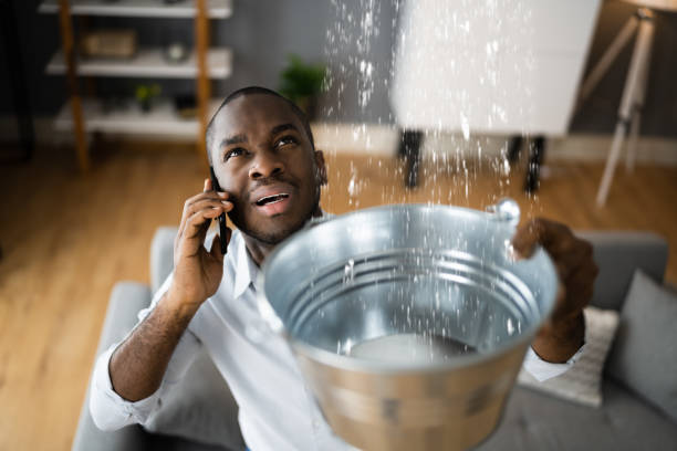 Water damage restoration mold remediation in Pelican Marsh, FL