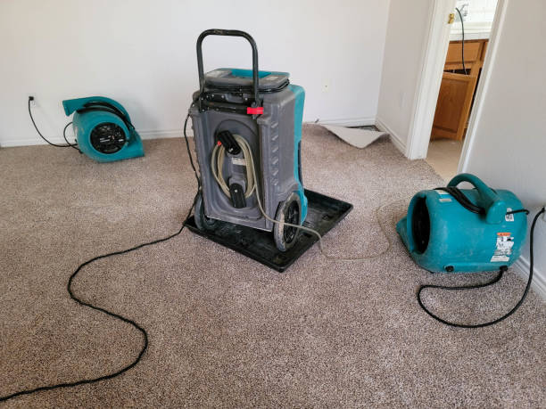 Water damage restoration process in Pelican Marsh, FL