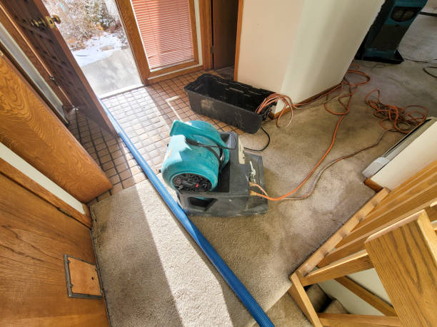 Best Water damage contractors near me  in Pelican Marsh, FL