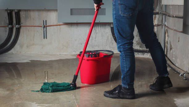 Best Water damage restoration mold remediation  in Pelican Marsh, FL