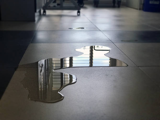 Best Water damage restoration services  in Pelican Marsh, FL