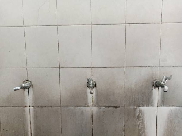 Best Professional water damage repair  in Pelican Marsh, FL