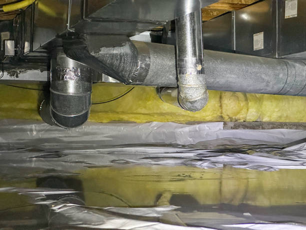 Best Flood restoration services  in Pelican Marsh, FL