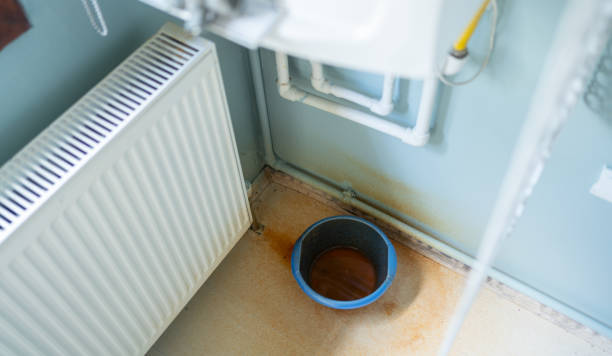 Best Commercial water damage restoration  in Pelican Marsh, FL