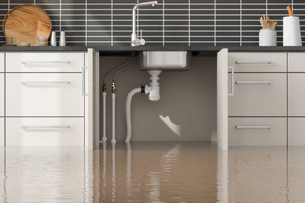 Best Water damage cleanup near me  in Pelican Marsh, FL