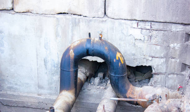 Best Ceiling water damage repair  in Pelican Marsh, FL